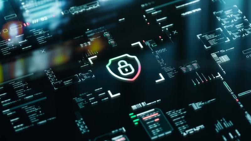 镇远县软件开发公司